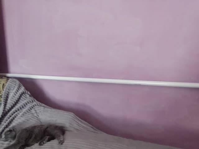 Ornotores_wers Live Sex December 13, 2025