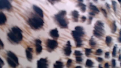 Veta-Viola Live Sex December 17, 2025