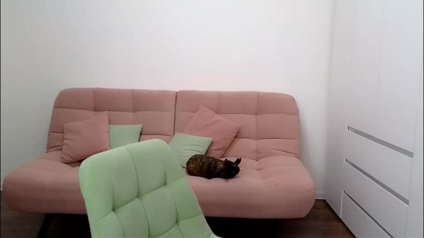 alicianoveli Live Sex December 13, 2025