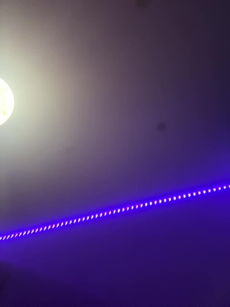 VULGARITY Live Sex December 13, 2025