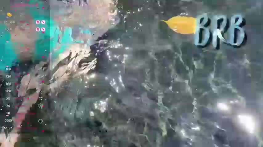 Anuskatz Live Sex December 17, 2025