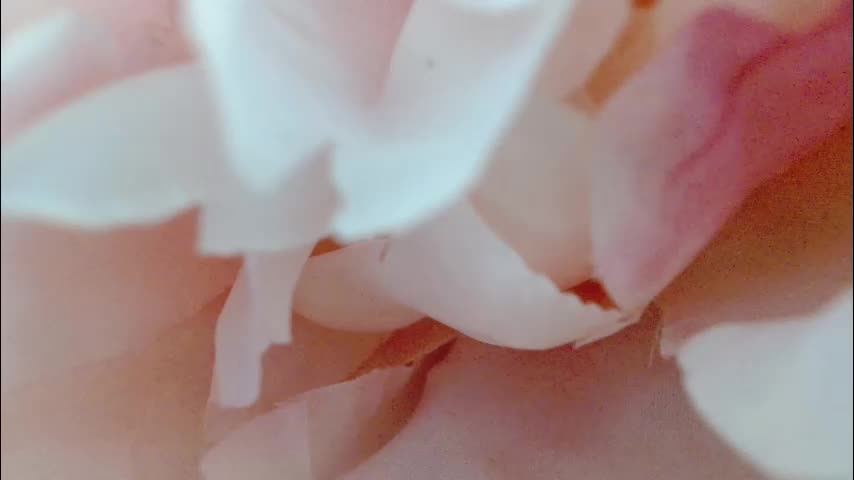 imcarrieberry Live Sex December 13, 2025