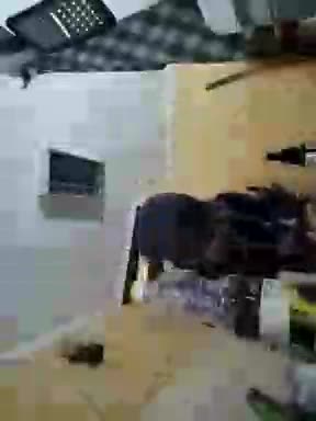 Kira700cams Live Sex December 14, 2025