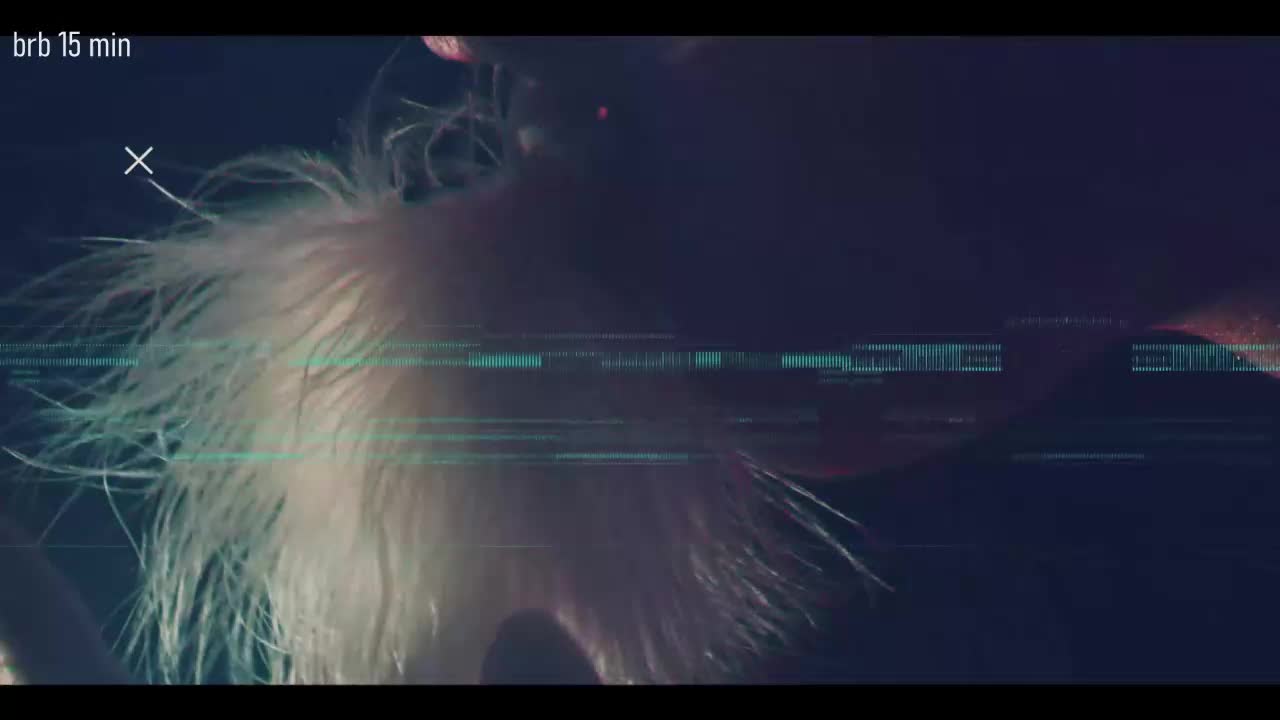 Taanni Live Sex December 18, 2025