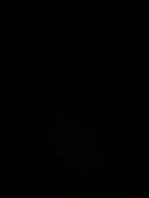 FameLara Live Sex December 17, 2025