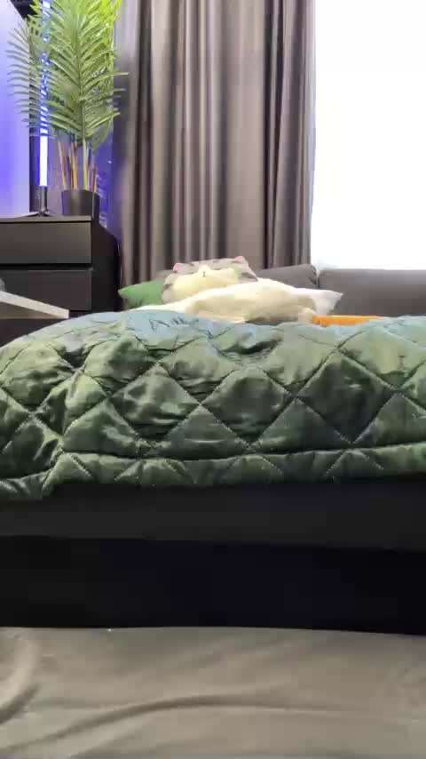 MagicMelody Live Sex December 17, 2025