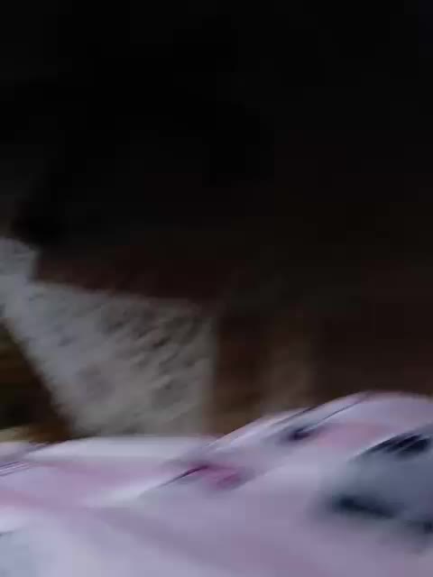 ZaraSss Live Sex 2025.09.17