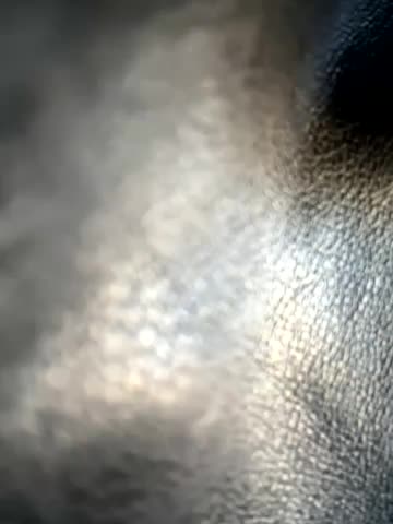 LikaCat Live Sex December 14, 2025