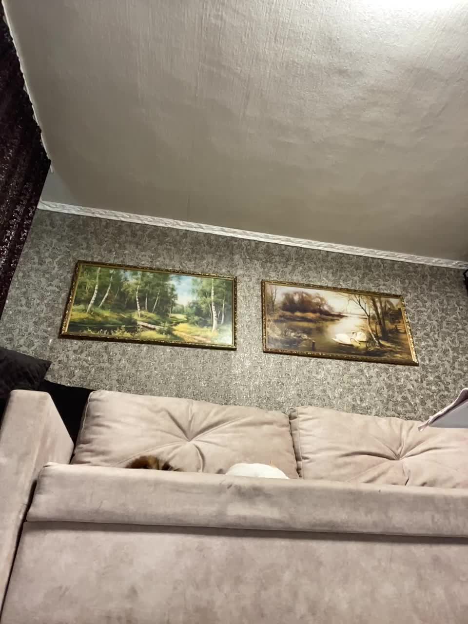 ProstoLolkaXXX Live Sex December 13, 2025