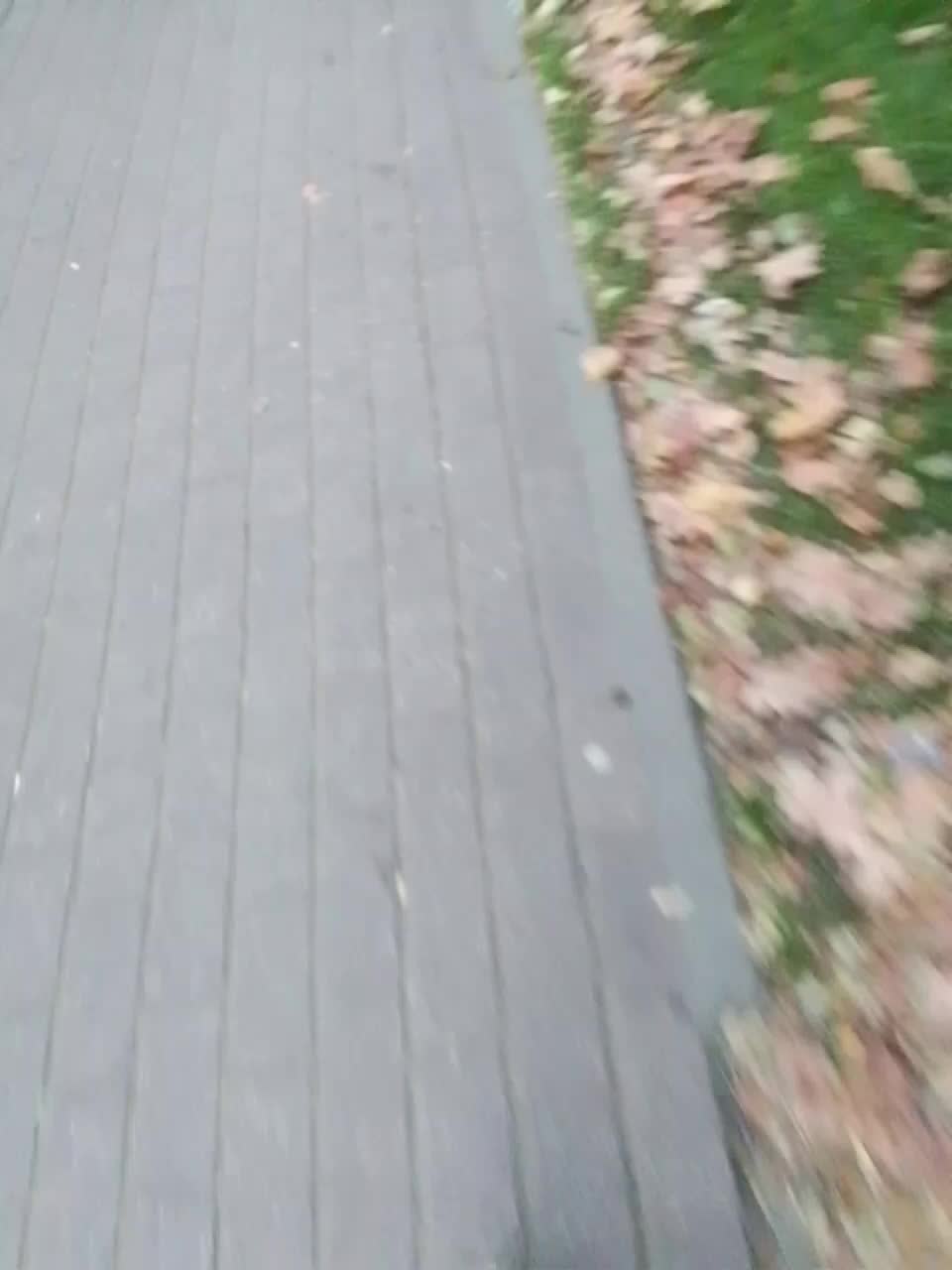 EVIL_TITS Live Sex December 17, 2025