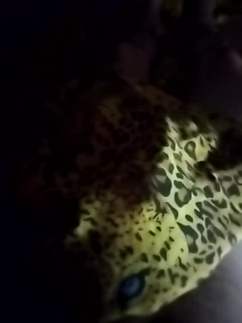 Designer011 Live Sex December 13, 2025