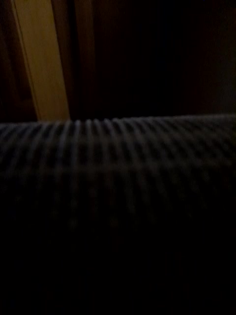 -nelya- Live Sex December 17, 2025