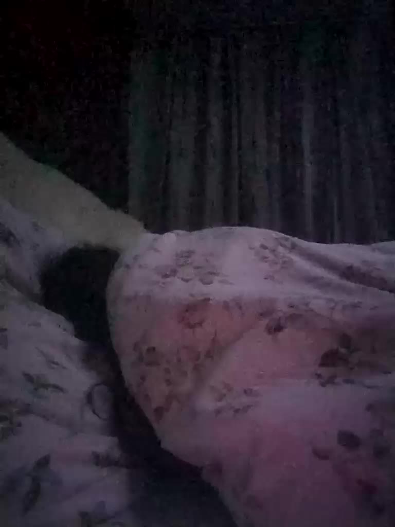 Lolaaa11 Live Sex December 13, 2025