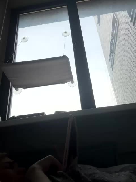 Kinesha Live Sex December 13, 2025