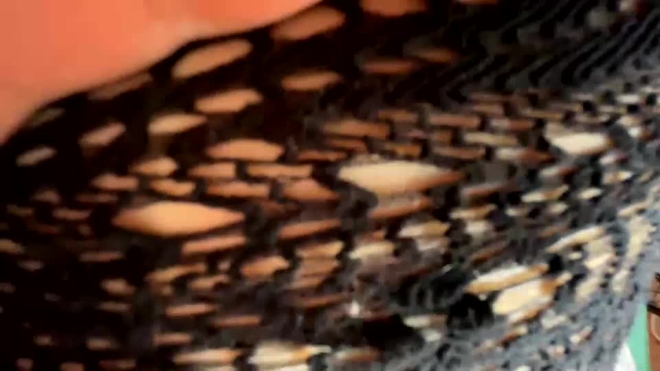 bohemianrhapsody1 Live Sex December 15, 2025