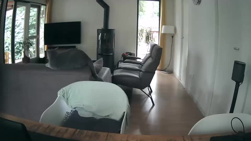 woodwurm Live Sex December 18, 2025