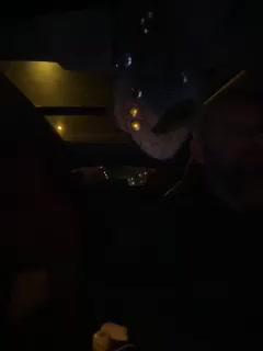 YuGoVi Live Sex December 13, 2025