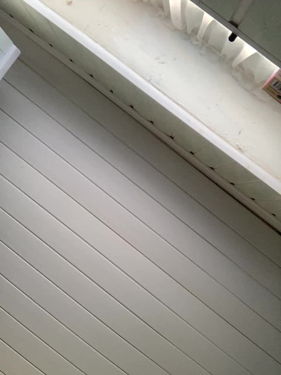 pizzahott Live Sex December 13, 2025