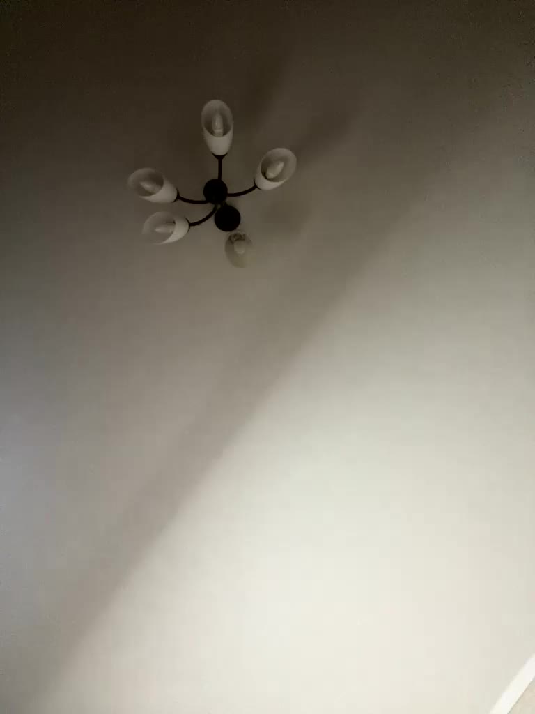 HellMor Live Sex December 19, 2025