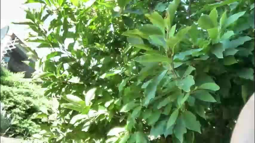 patry333 Live Sex December 13, 2025