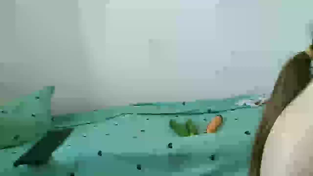 MagalitaAx Live Sex December 19, 2025