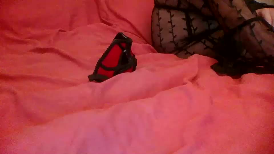 annecharlie Live Sex December 17, 2025