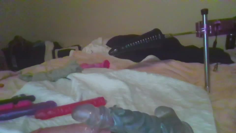 sdbeachfreaks Live Sex December 15, 2025