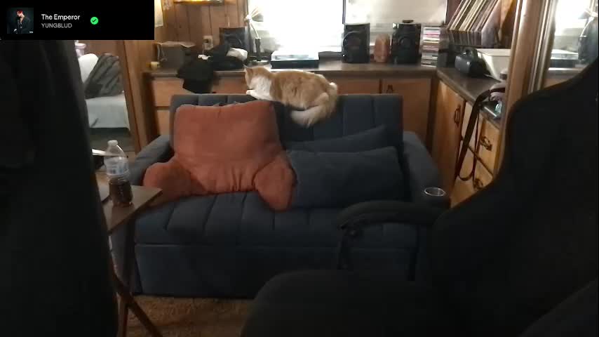 incognitoqueen Live Sex December 13, 2025