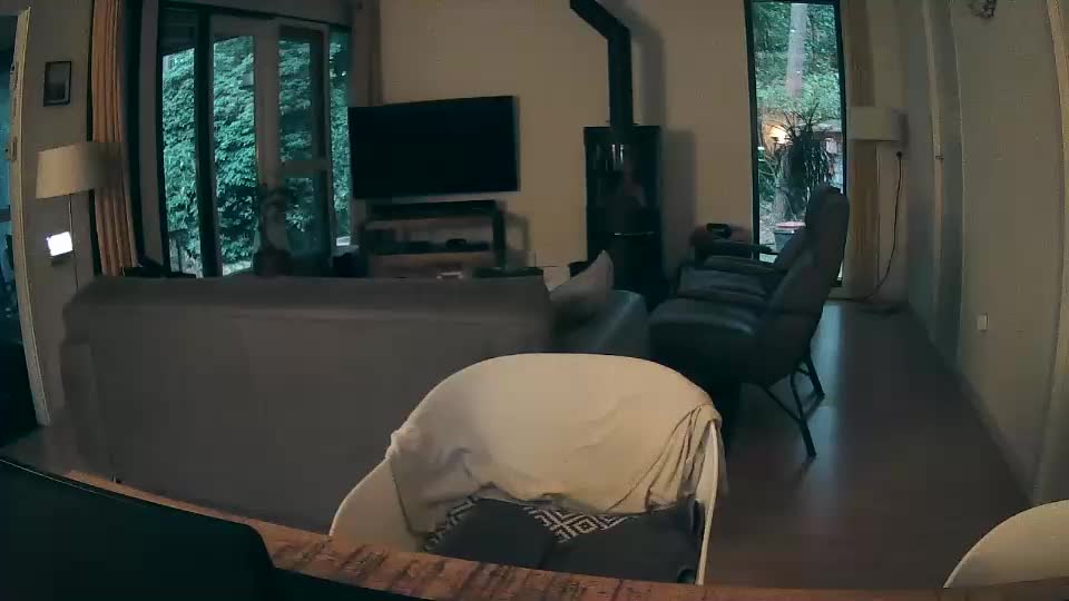 woodwurm Live Sex December 18, 2025