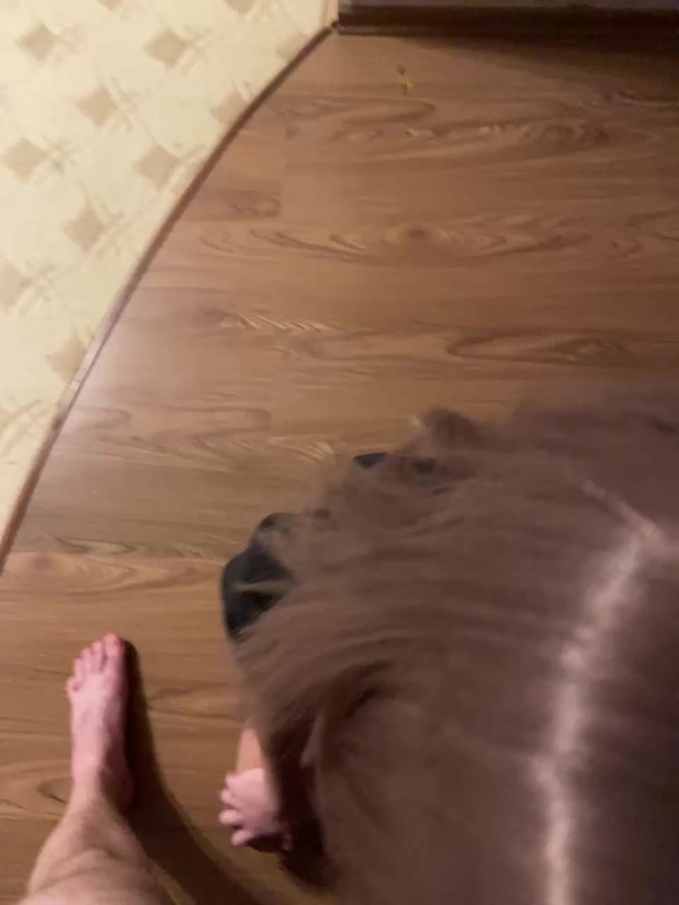 TheMysticGirl99 Live Sex December 19, 2025