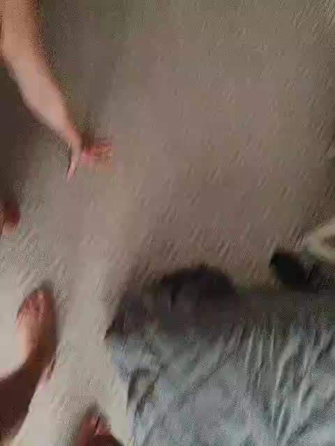 AleksaTop069 Live Sex December 13, 2025