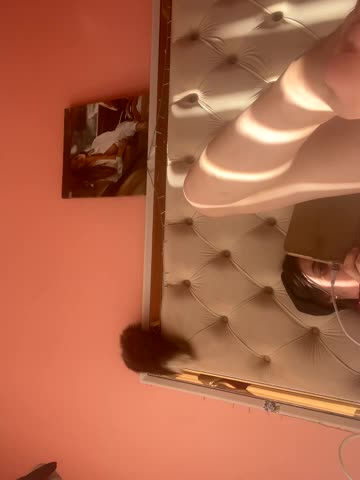 Flossy_Vettie Live Sex December 18, 2025