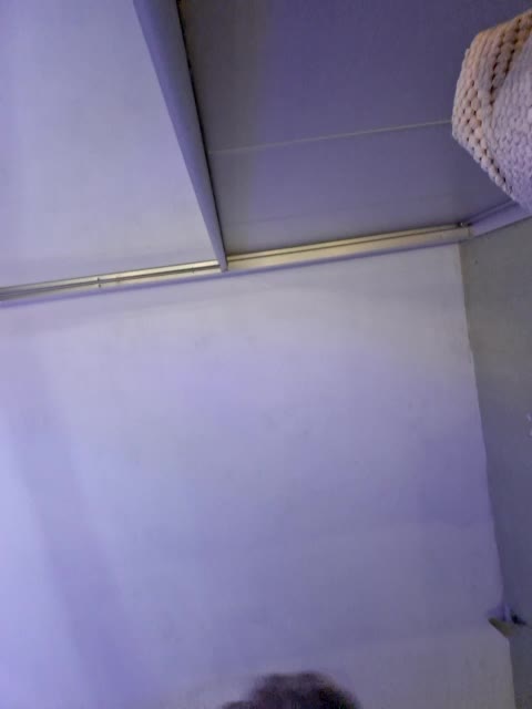 murr-kitty Live Sex December 17, 2025