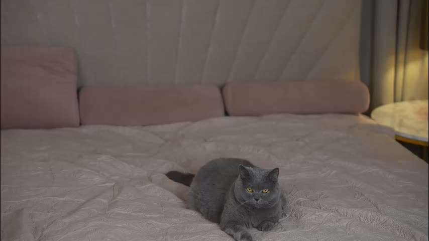 viktoria_storm Live Sex December 14, 2025