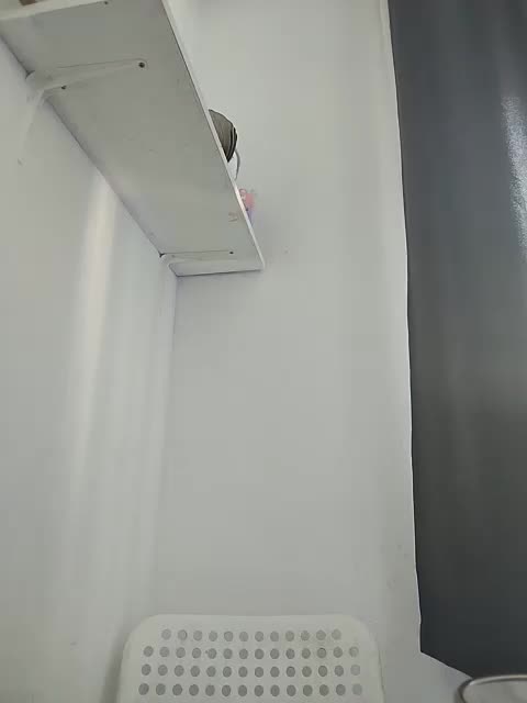 MonicaMilf Live Sex December 13, 2025