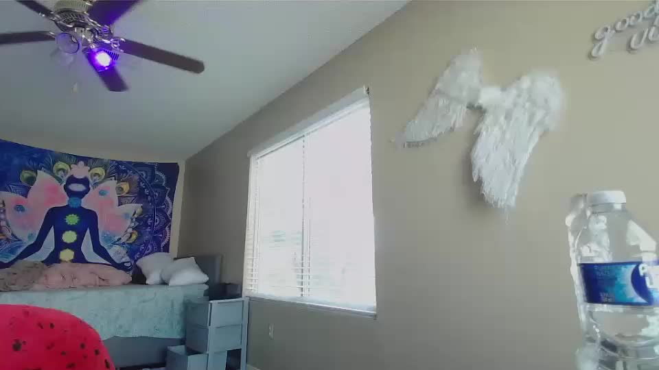 girlnextdoor702 Live Sex December 13, 2025