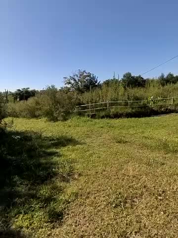 _KissMyAss_ Live Sex December 19, 2025