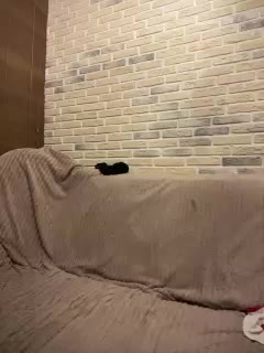 Panther_0888 Live Sex December 18, 2025