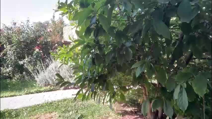 patry333 Live Sex December 13, 2025