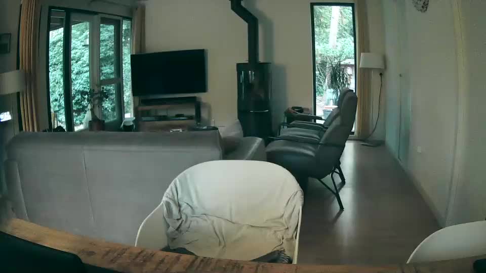 woodwurm Live Sex December 18, 2025