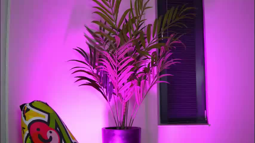 kimberdeee Live Sex December 13, 2025