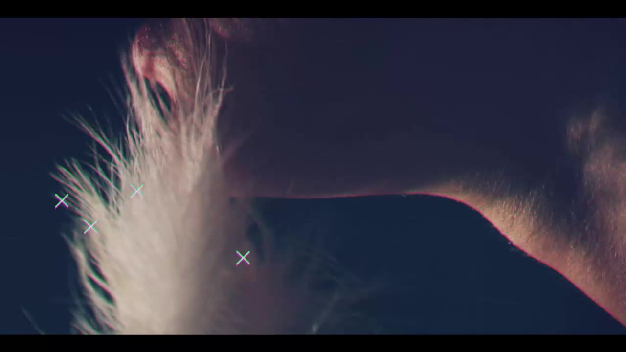 Taanni Live Sex December 18, 2025