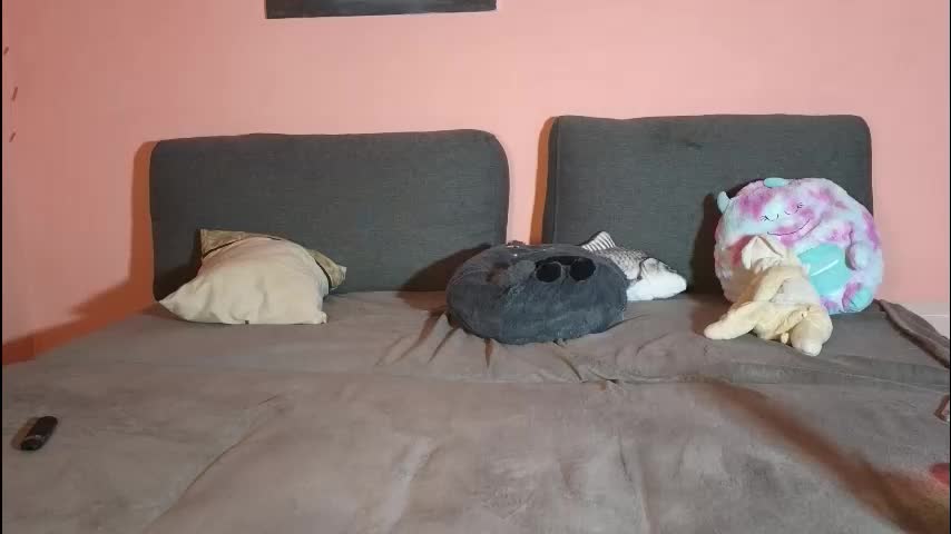 katusha008 Live Sex September 23, 2025