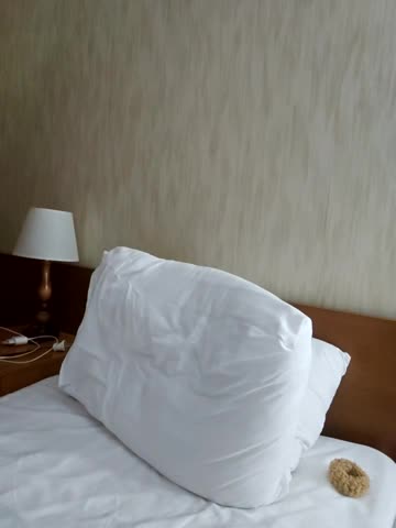 LybovNTV Live Sex December 17, 2025