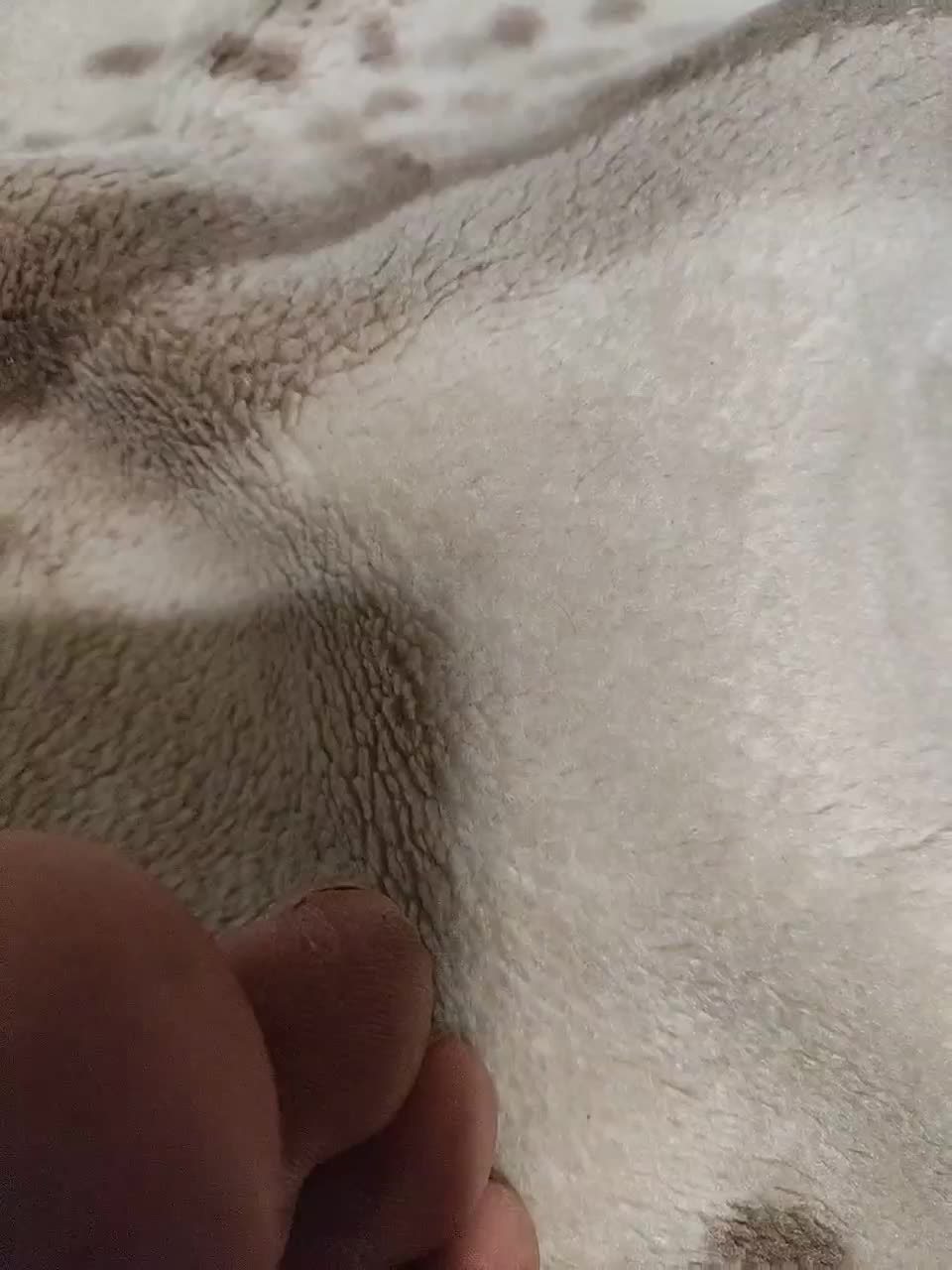 SexPara696969 Live Sex December 14, 2025