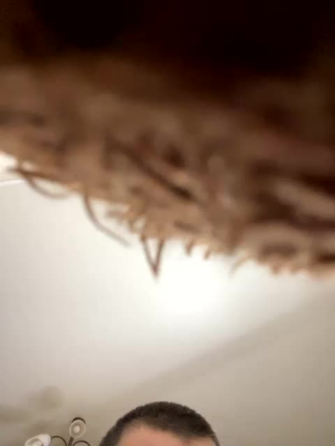 HellMor Live Sex December 18, 2025