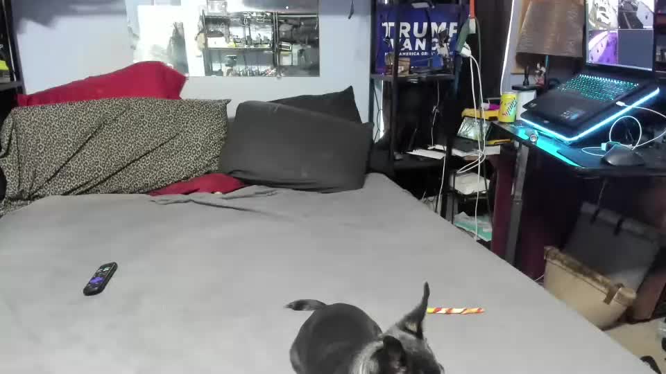 pink_black Live Sex December 17, 2025