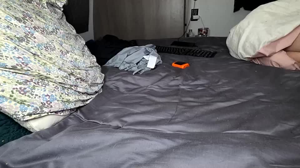 poppunk4life Live Sex December 14, 2025