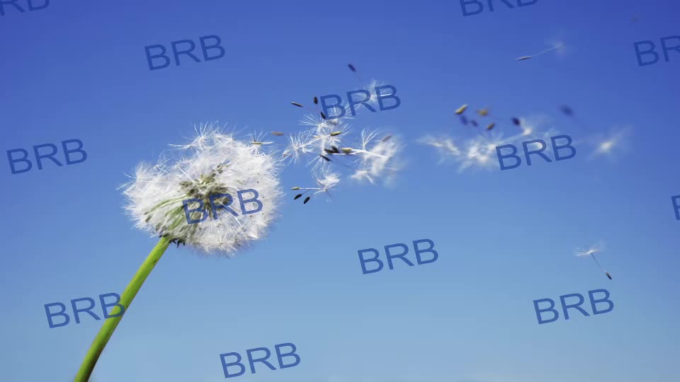 lara_fisher Live Sex September 27, 2025