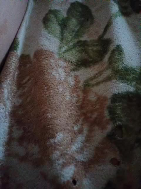 Oksy3 Live Sex December 13, 2025